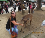 Trip to Nara